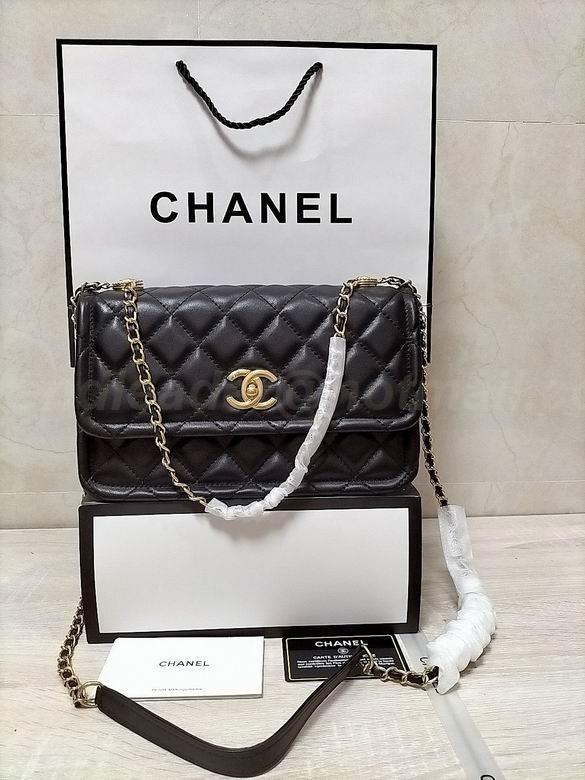 Chanel Handbags 192